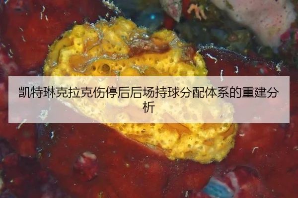 kai-te-lin-ke-la-ke-shang-ting-hou-hou-chang-chi-qiu-fen-pei-ti-xi-de-chong-jian-fen-xi-2-369.jpg